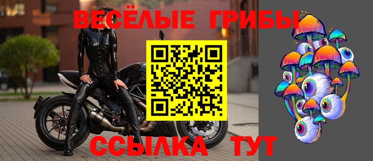 Псилоцибиновые грибы Magic Shrooms Северобайкальск